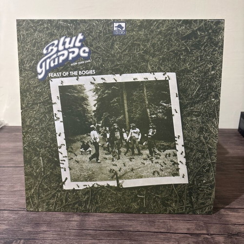 131/ Blut Gruppe vinyl record used, rock