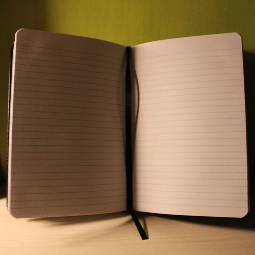 Olivia Rodrigo notebook A5, 100 pages