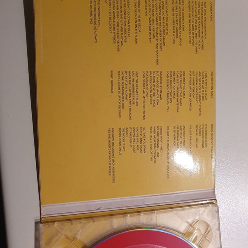 Salad Cardboy King CD2 new, pop