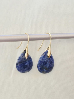 Blue Brown Earrings New With Gold Details