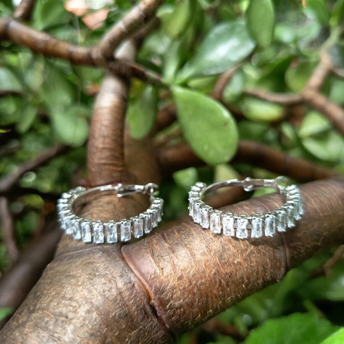 Steel earrings with stones used, silver color
