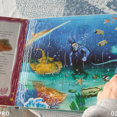 Nature Wonders puzzle book about sharks new