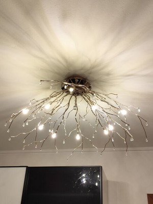 Swarovski ceiling light