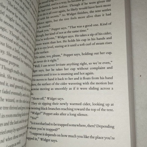 The Night Circus novel like new, English