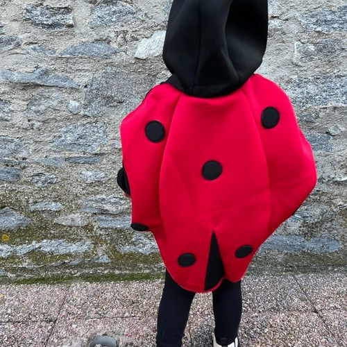 Ladybug costume Zara like new, scuba fabric, size 3-4