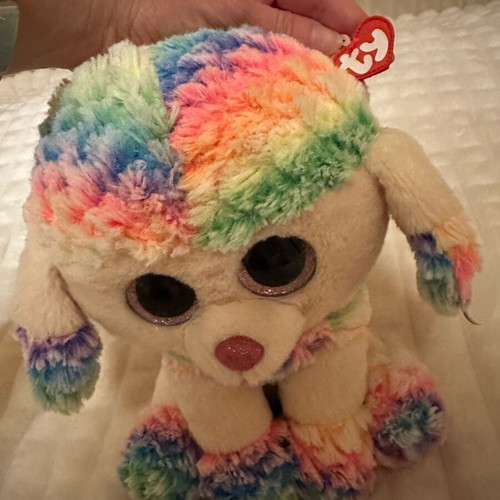 Ty Rainbow Large Dog Like New with Pocket on Back