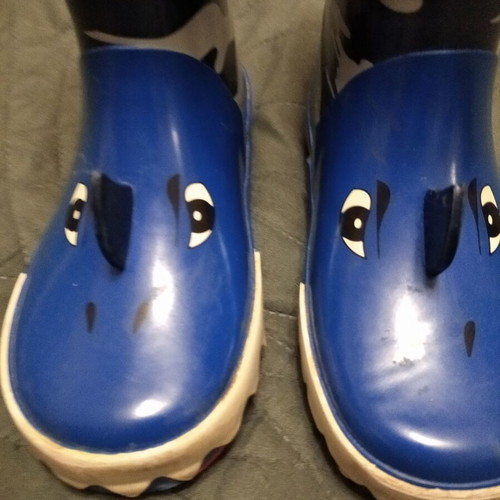 Gioseppo kids' rain boots "Shark" size 26 like new, black and blue