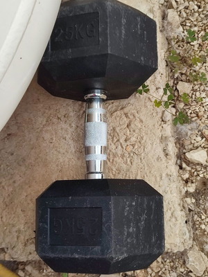 Αλτήρες σαν καινούργιοι, σετ 2, 25kg ο καθένας