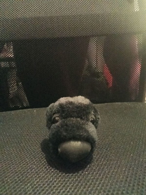 Plush Dog The Dog Collection Black Labrador Spaniel new
