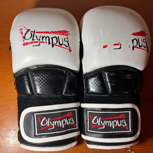 Olympus Max Sparring Gloves like new
