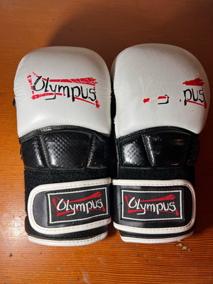 Olympus Max Sparring Gloves like new