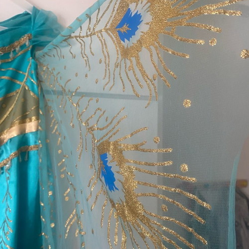 Jasmine costume from Disneyland with slight wear, size 7-8
