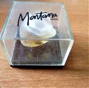 Montana miniature