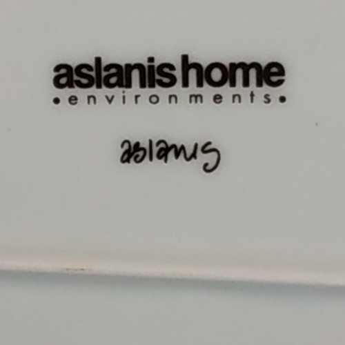 Aslanis Environments porcelain serving platter new 32.5x22 cm