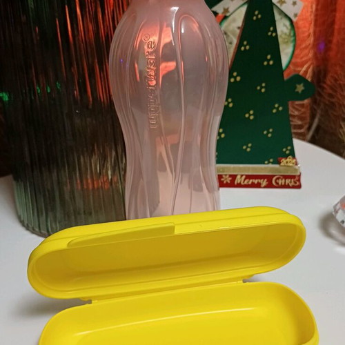 Princess container with 500ml bottle Tupperware new