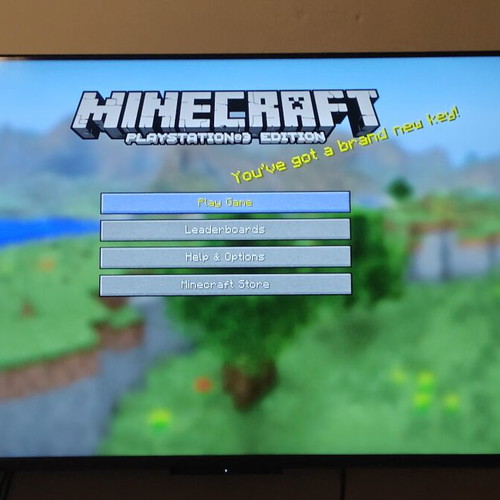 Minecraft PlayStation 3 Edition game