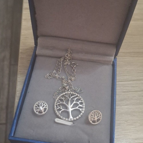 Silver s925 family tree necklace and earrings set