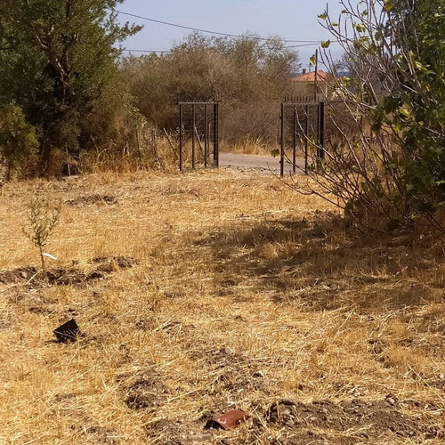 Agricultural land 2.5 acres with 28 sqm caravan in Vatera Lesvos