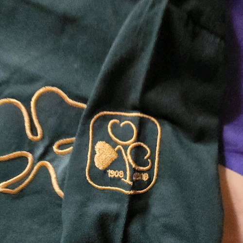 Long-sleeve shirt of Panathinaikos