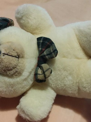 Teddy bear plush like new