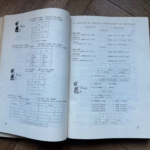Romanian language manual for foreign students used