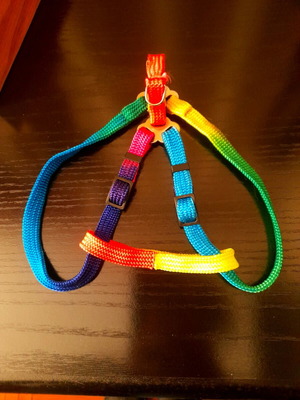 Colorful harness for small dog or cat like new