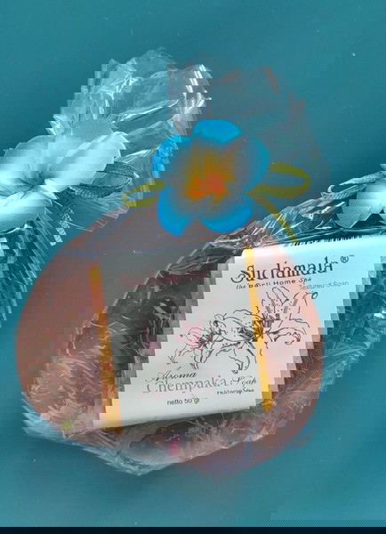 Σαπουνάκι με πιατάκι από το ΒΑLI
