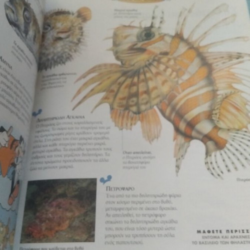 Disney Children's Encyclopedia The Animals of the Sea used, Greek literature book