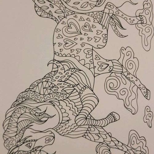 Coloring Book Fantasia like new