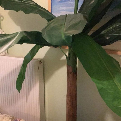 Artificial banana plant used, height 1.80 m