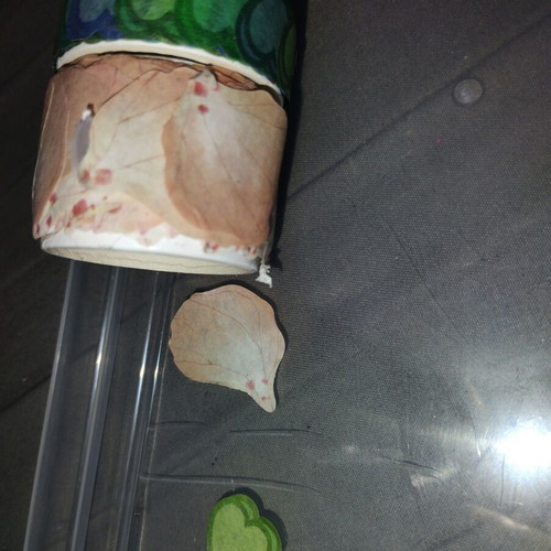 Set of 2 craft tapes with leaf and heart designs