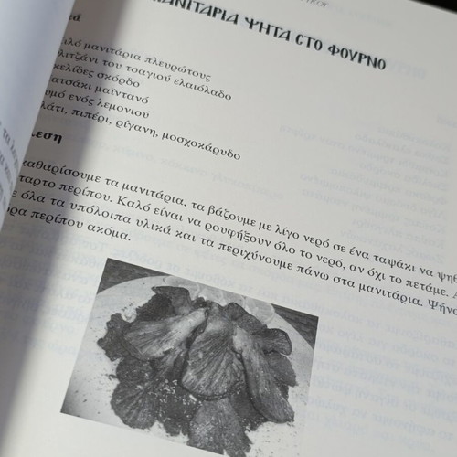Nisteia Agiou Orous book used, health and longevity