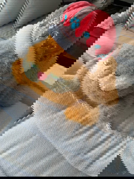 Garfield vintage
