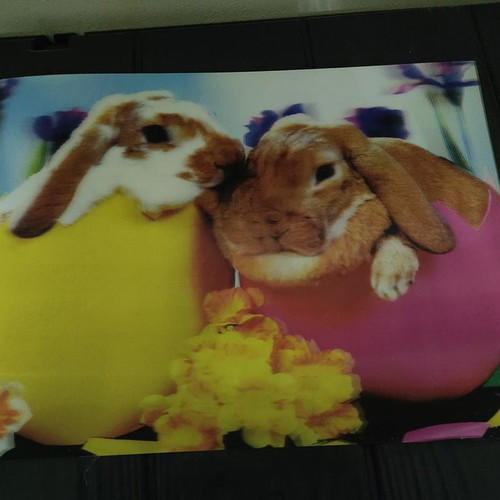 3D Picture With Bunnies In Eggs, Like New, 39x29 cm