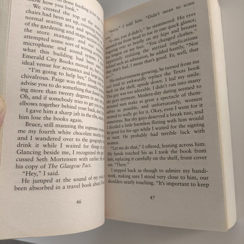 Succubus Blues book like new, English fantasy fiction