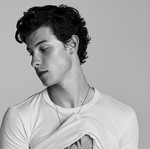 Shawn Mendes poster