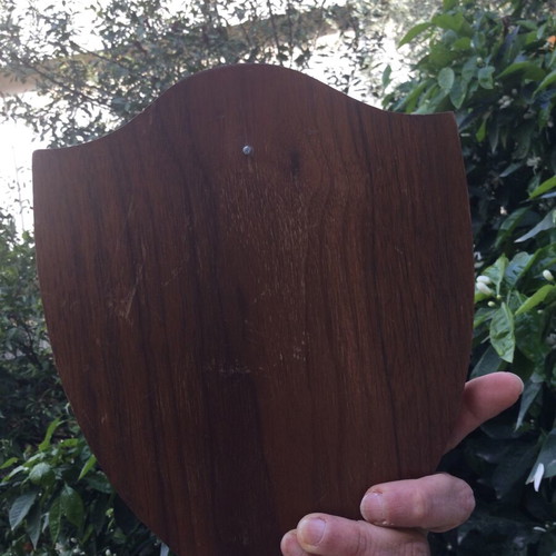 Military forces wall shield used