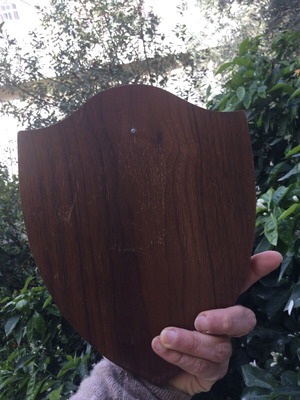 Military forces wall shield used