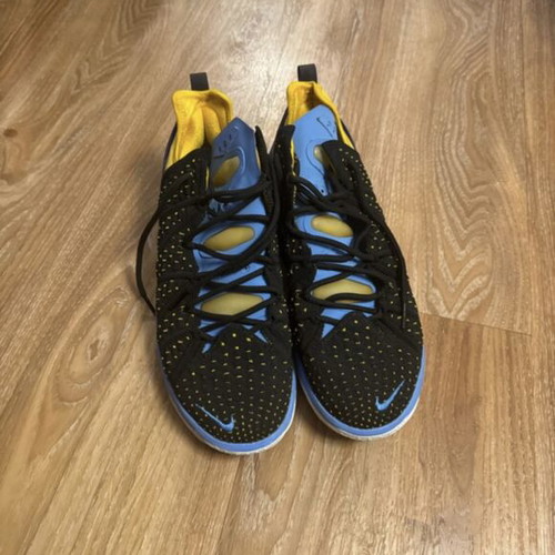 Nike LeBron James sneakers, multicolor, size 43