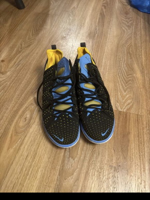 Nike LeBron James sneakers, multicolor, size 43