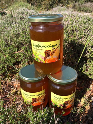 Thyme honey new in 1kg glass jar from Dervenochoria