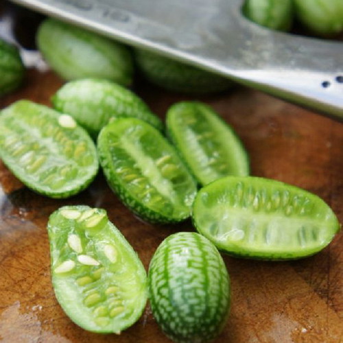 Cucamelon Mexican Mini Melon Cucumber Seeds, rare climbing plant