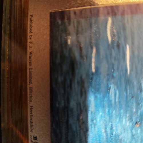 Photo on cardboard for frame like new, printed without creases