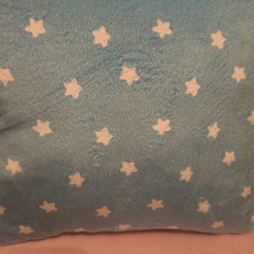 Bluey pillow like new