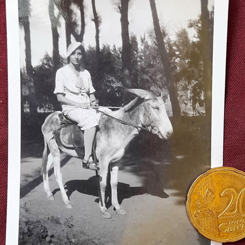 Vintage photo woman on donkey 1930s black and white