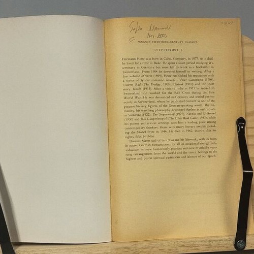 Steppenwolf Hermann Hesse The Steppenwolf like new
