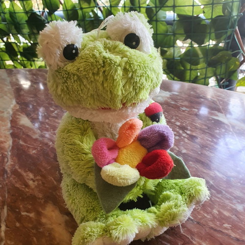 Plush Frog like new with colorful flower
