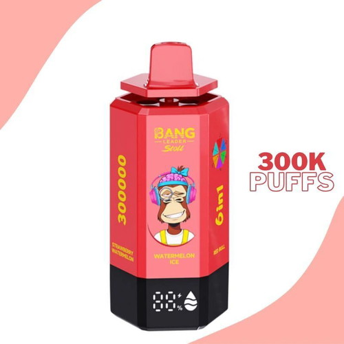 Bang Leader 300000 Puffs 6-in-1 Vape with 6 Flavors