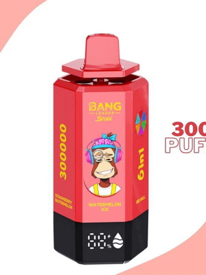 Bang Leader 300000 Puffs 6-in-1 Vape with 6 Flavors