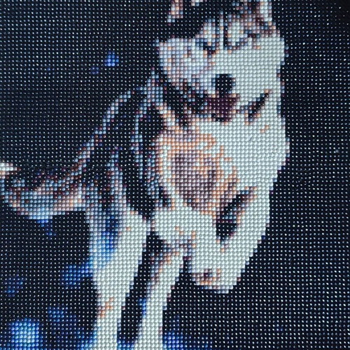 Husky dog diamond painting canvas new 30x40 cm